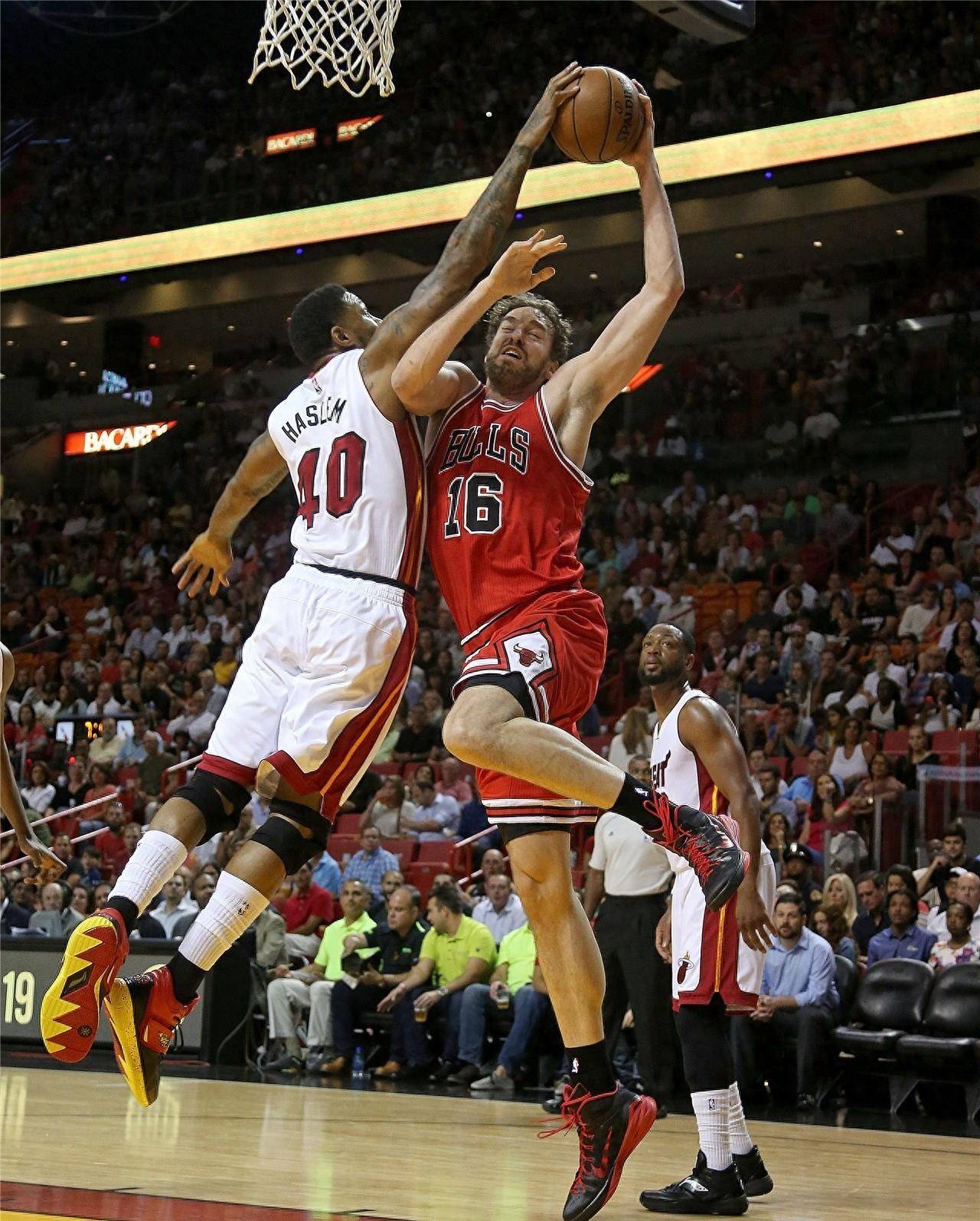 将展现其高 将展现其高